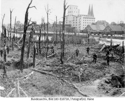 Danzig, Westerplatte, zerstörter Wald
