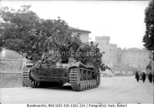Italien, Panzerjäger <span class="match">Nashorn</span>/Hornisse