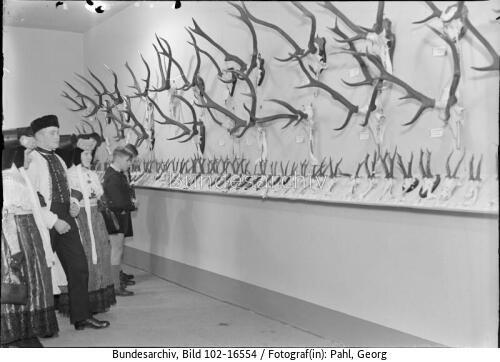 Berlin, Ausstellung "<span class="match">Grüne Woche</span>", Geweihe