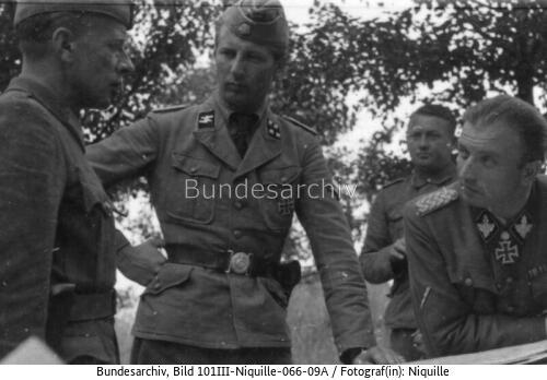 Hermann Fegelein, Besprechung
