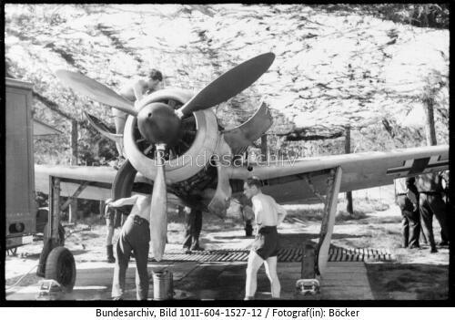 Frankreich, Fw 190, Wartung / Reparatur, Tarnung