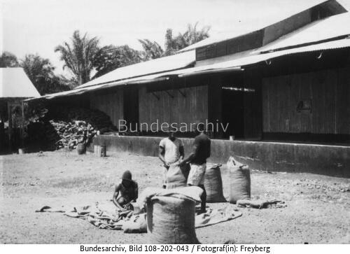 Kamerun, Kribi, Abfüllen von Kakao in Säcke