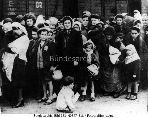 KZ Auschwitz, Ankunft ungarischer Juden