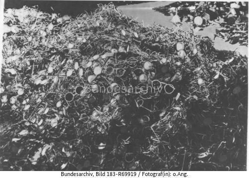 KZ Auschwitz, Brillen