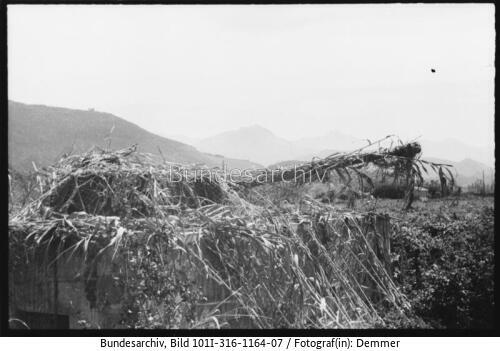 Italien, Küstenbefestigungen, getarnter Panzer V