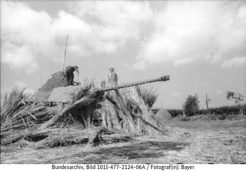 Italien, Panzer V Panther