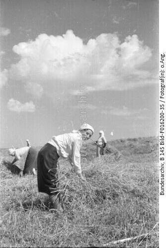 Russland, Bäuerinnen bei der Ernte