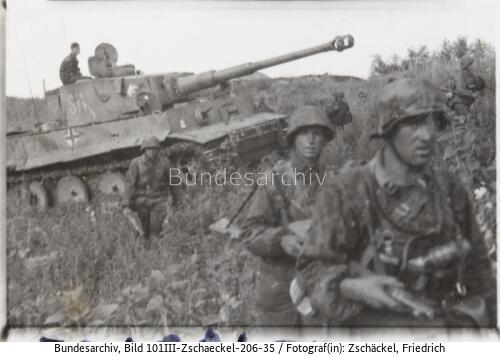 Schlacht um Kursk, Panzer VI (Tiger I)