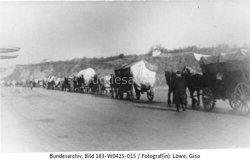 Bei Dresden, Flüchtlingstreck