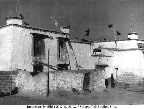 Tibetexpedition, Lhasa, Kolkraben