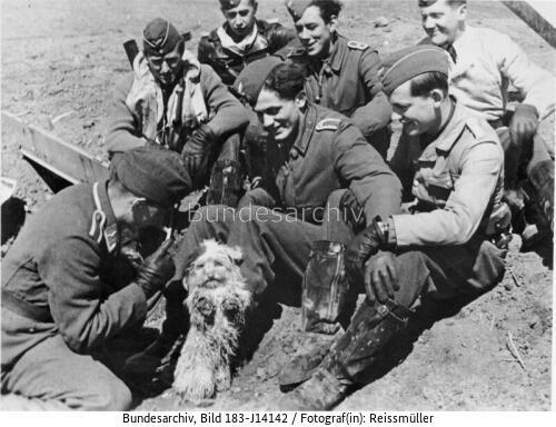 Jagdflieger Günther Rall mit Kameraden