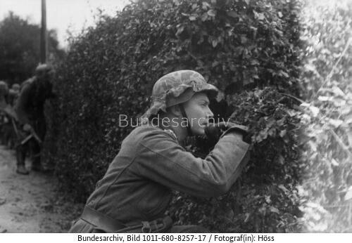 Frankreich, Soldaten in Deckung hinter Hecke