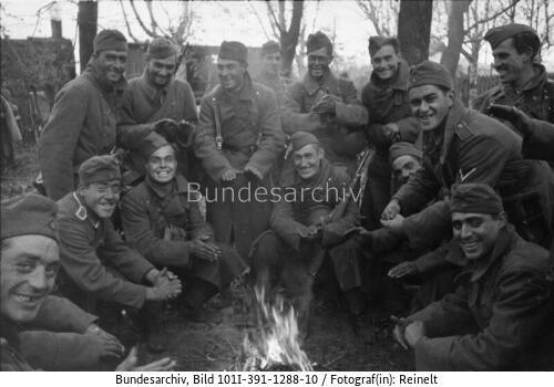 Russland, Freiwillige der "Blauen Division"