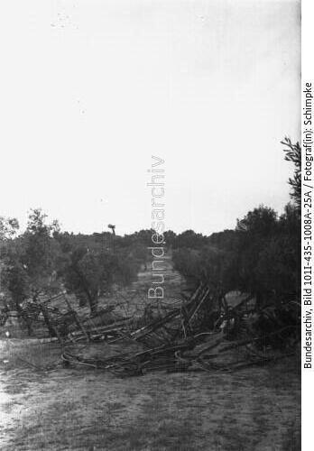Griechenland (?), zerstörte englische Flugzeuge