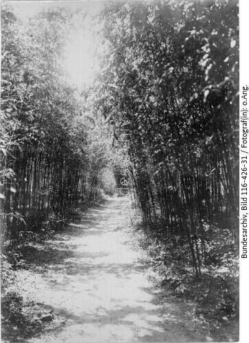 Tsingtau, Landschaftsaufnahme