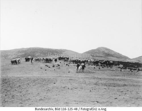 Tsingtau, Exerzieren der Feldbatterie