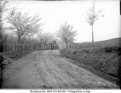 Kiautschou, Kirschblüte