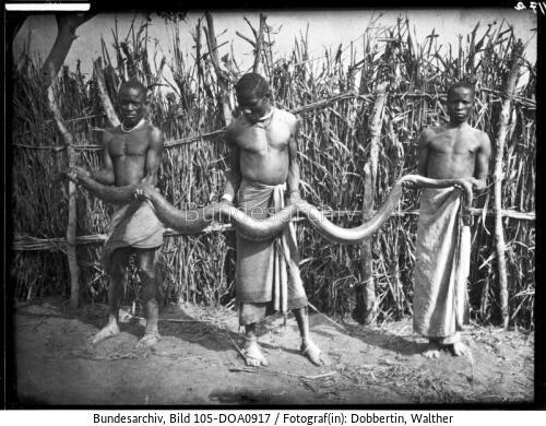 Deutsch-Ostafrika, Schlange