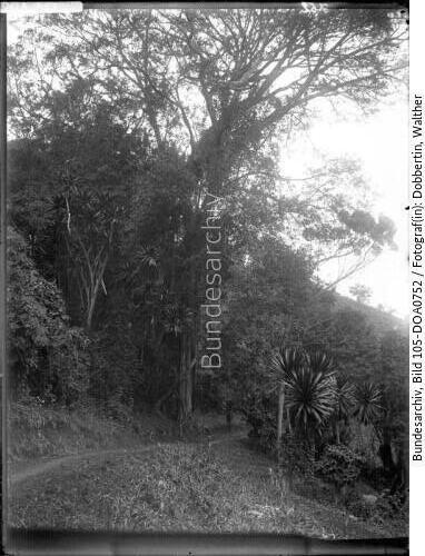 Deutsch-Ostafrika, Usambaragebirge