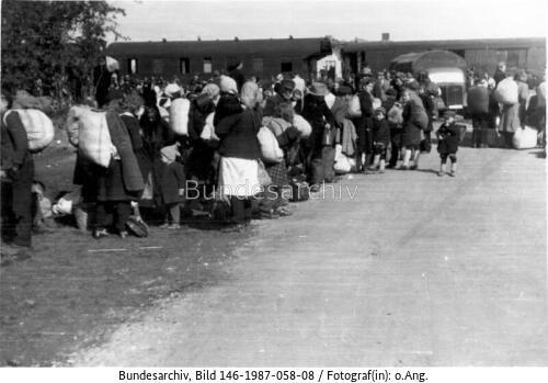 Meldorf, Ankunft von Flüchtlingen