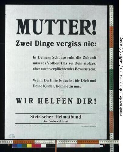 Jugoslawien, Steirischer Heimatbund, Wohlfahrt