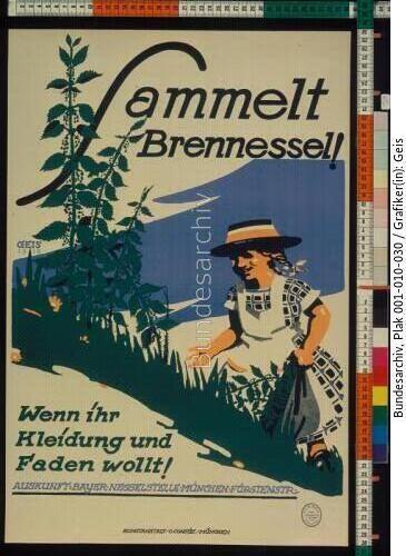 Sammlung Brennessel