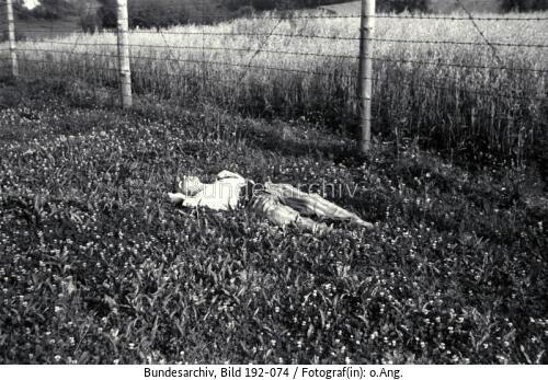 KZ <span class="match">Mauthausen</span>, Erschossener Häftling