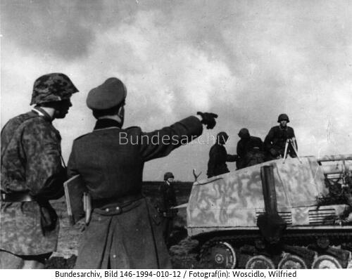 Belgien, Waffen-SS, Panzerjäger "Wespe"