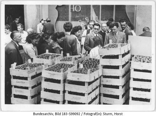 Berlin, HO-Tomatenverkauf