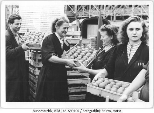 Berlin, HO-Tomatenverkauf