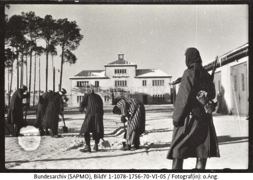KZ Sachsenhausen, Häftlingsarbeit